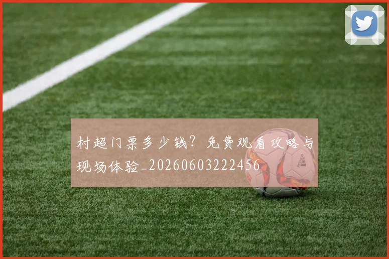村超门票多少钱？免费观看攻略与现场体验_20260603222456